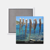 Aimant Faros (Recto/Verso)