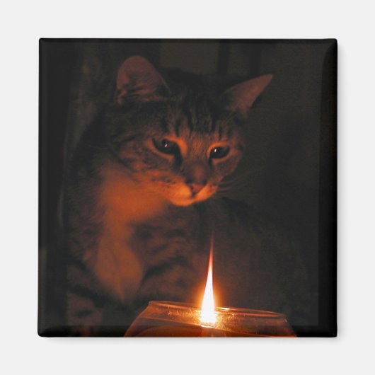 Aimant fasciné par la flamme (Devant)