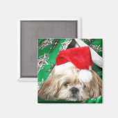 Aimant Fatigué Noël Shih Tzu (Recto/Verso)