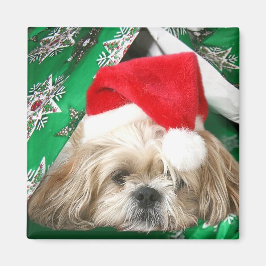 Aimant Fatigué Noël Shih Tzu (Devant)