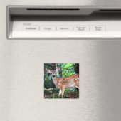 Aimant Faune (In Situ (Lave-vaisselle))