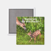 Aimant Faune sauvage de cerfs pour les amateurs de plein  (Recto/Verso)