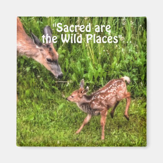 Aimant Faune sauvage de cerfs pour les amateurs de plein  (Devant)