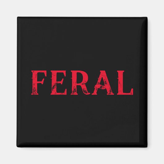 Aimant Faux (Devant)