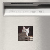 Aimant Faux romain (In Situ (Lave-vaisselle))