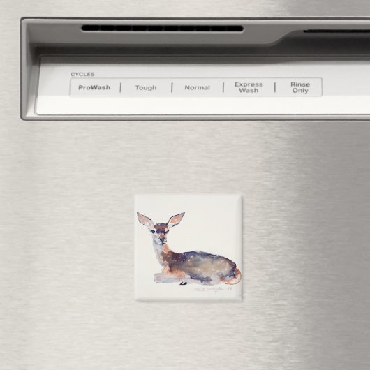 Aimant Fawn 2003 (In Situ (Lave-vaisselle))