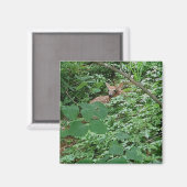 Aimant FAWN en Feuilles de coeur vert — (Recto/Verso)
