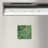 Aimant FAWN en Feuilles de coeur vert — (In Situ (Lave-vaisselle))