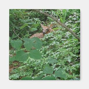 Aimant FAWN in Green Heart Feuilles —