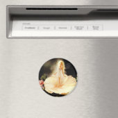 Aimant Fée (In Situ (Lave-vaisselle))