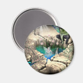 Aimant Féerie en Elven Pond (Recto/Verso)