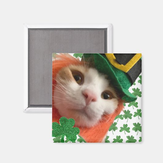 Aimant Feline Lucky ? (Recto/Verso)