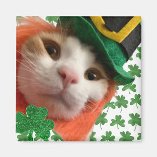 Aimant Feline Lucky ?