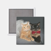 Aimant Feline mariée et mariée (Recto/Verso)