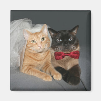 Aimant Feline mariée et mariée