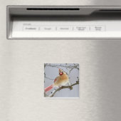 Aimant Female_Cardinal_Magnet (In Situ (Lave-vaisselle))