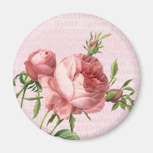 Aimant Feminine et belle vintage rose rose