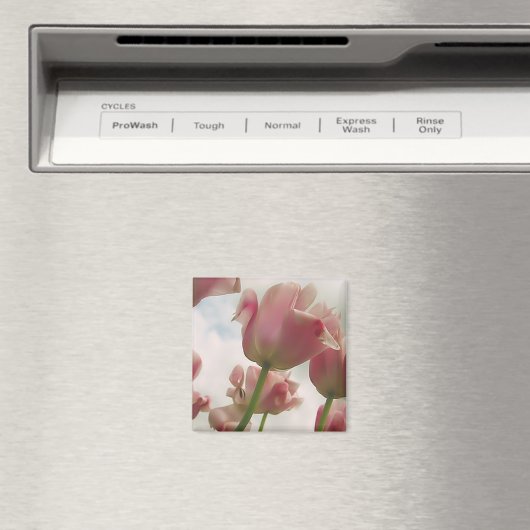 Aimant Feminité (In Situ (Lave-vaisselle))