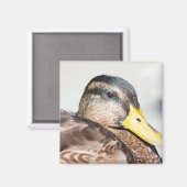 Aimant Femme Mallard (Recto/Verso)