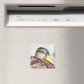 Aimant Femme Mallard (In Situ (Lave-vaisselle))