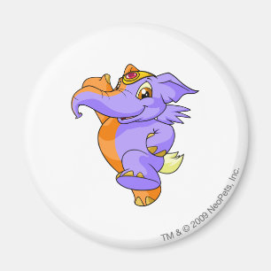 Aimant Fente d'Elephante