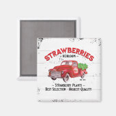 Aimant Ferme de fraises Ferme Vieux Camion de ferme rouge (Recto/Verso)