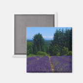 Aimant Ferme de Lavender (Recto/Verso)