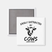 Aimant Ferme de vaches : facilement distrait par les vach (Recto/Verso)