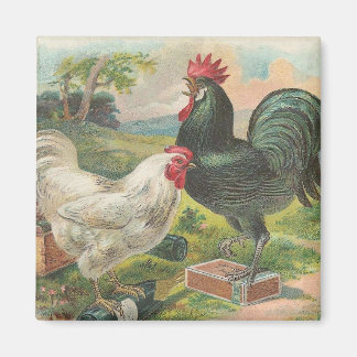 Aimant Ferme vintage
