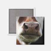 Aimant fermer une vache (Recto/Verso)