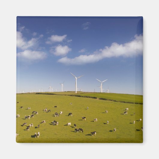 Aimant Fermes | Vaches près de la ferme de moulin à vent (Devant)