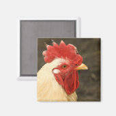 Aimant Fermeture (Recto/Verso)