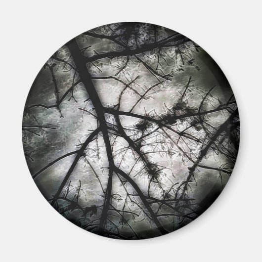 Aimant Fermeture (Devant)