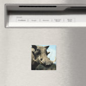 Aimant Fermeture du phacochère (In Situ (Lave-vaisselle))