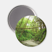 Aimant Fern Canyon I au Redwood National Park (Recto/Verso)