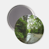 Aimant Fern Canyon II au parc national Redwood (Recto/Verso)