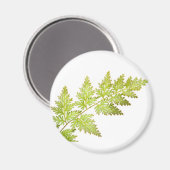 Aimant Fern feuille (Recto/Verso)