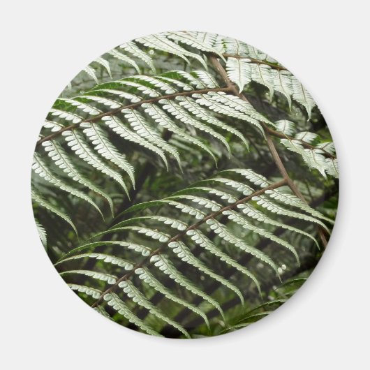 Aimant Fern Fronds II Dark Green Nature (Devant)