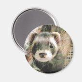 Aimant Ferret Cute Sable (Recto/Verso)