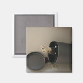 Aimant Ferret dans une poubelle (Recto/Verso)