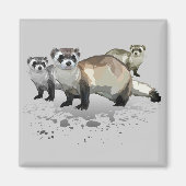 Aimant Ferrets (Devant)