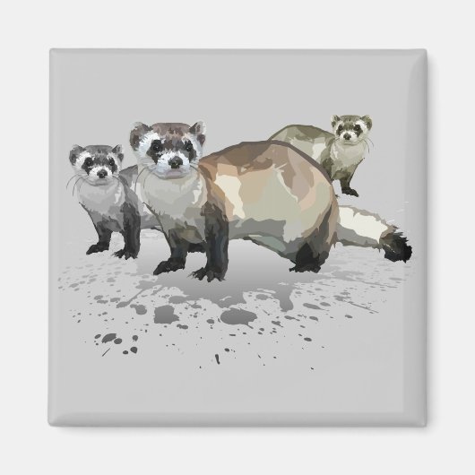 Aimant Ferrets (Devant)