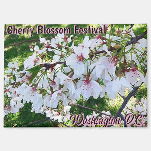 Aimant Festival des fleurs de cerisier Washington D.C. Ma