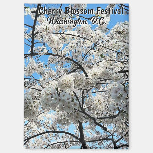 Aimant Festival des fleurs de cerisier Washington D.C. So