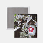 Aimant Festival des fleurs de cerisiers à Kyoto (Recto/Verso)