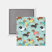 Aimant Fête d'anniversaire de Dachshund (Recto/Verso)