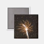 Aimant Feu d'artifice sur la rivière Savannah (Recto/Verso)