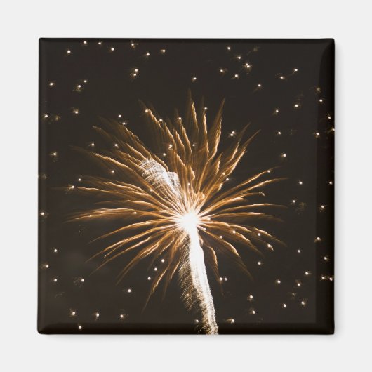 Aimant Feu d'artifice sur la rivière Savannah (Devant)