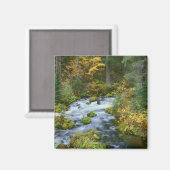 Aimant Feuillage d'automne et bordure de sapin de Douglas (Recto/Verso)