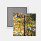 Aimant Feuillage d'automne jaune et vert (Recto/Verso)